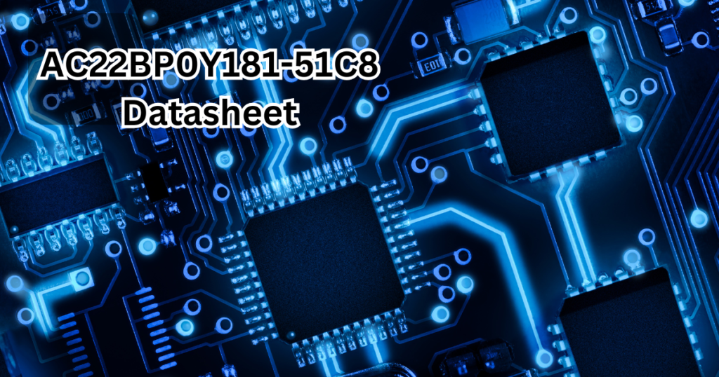 AC22BP0Y181-51C8 datasheet