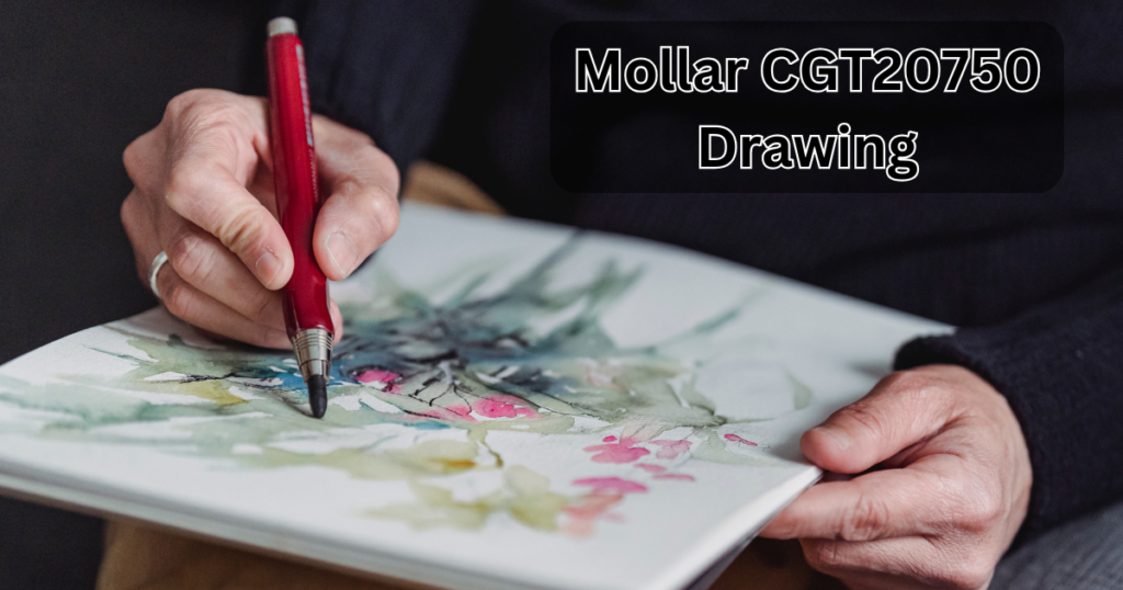 Mollar CGT20750 Drawing